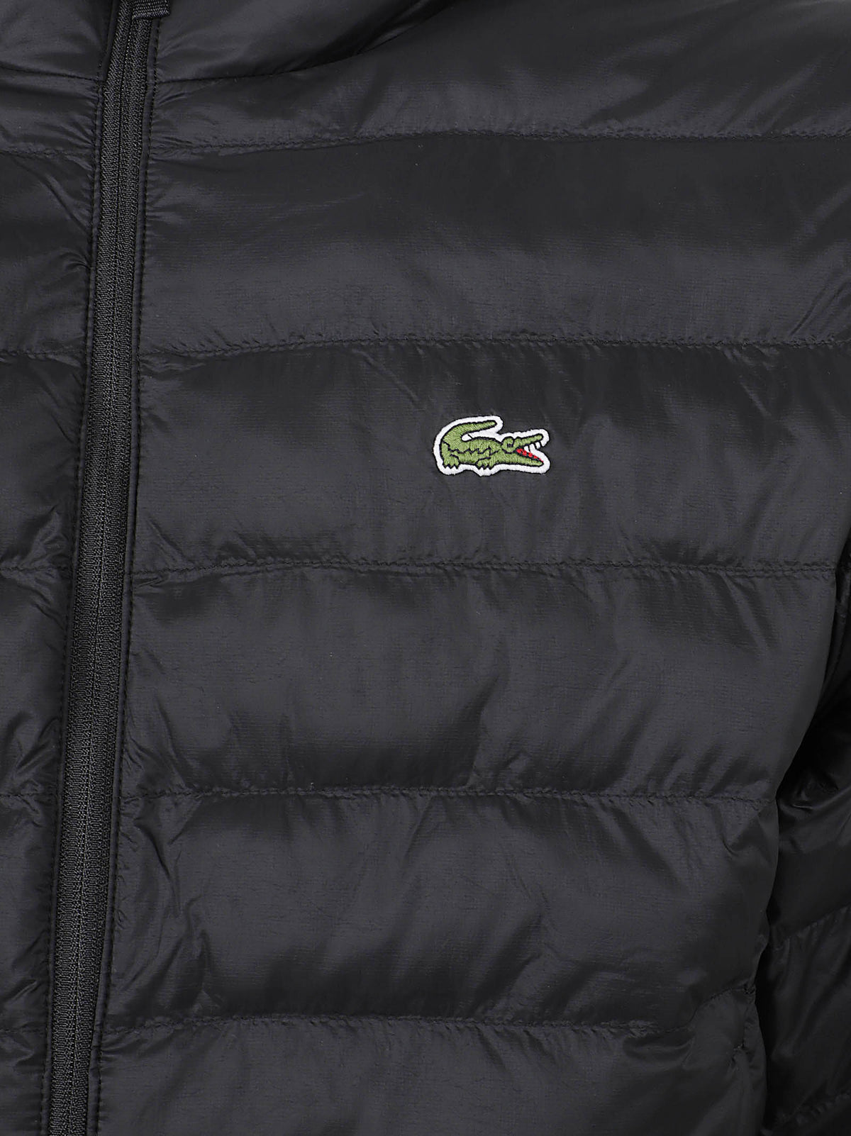 GIACCA IMBOTTITA UOMO CON CAPPUCCIO - LACOSTE<BR/> BH8714 031  LACOSTE 