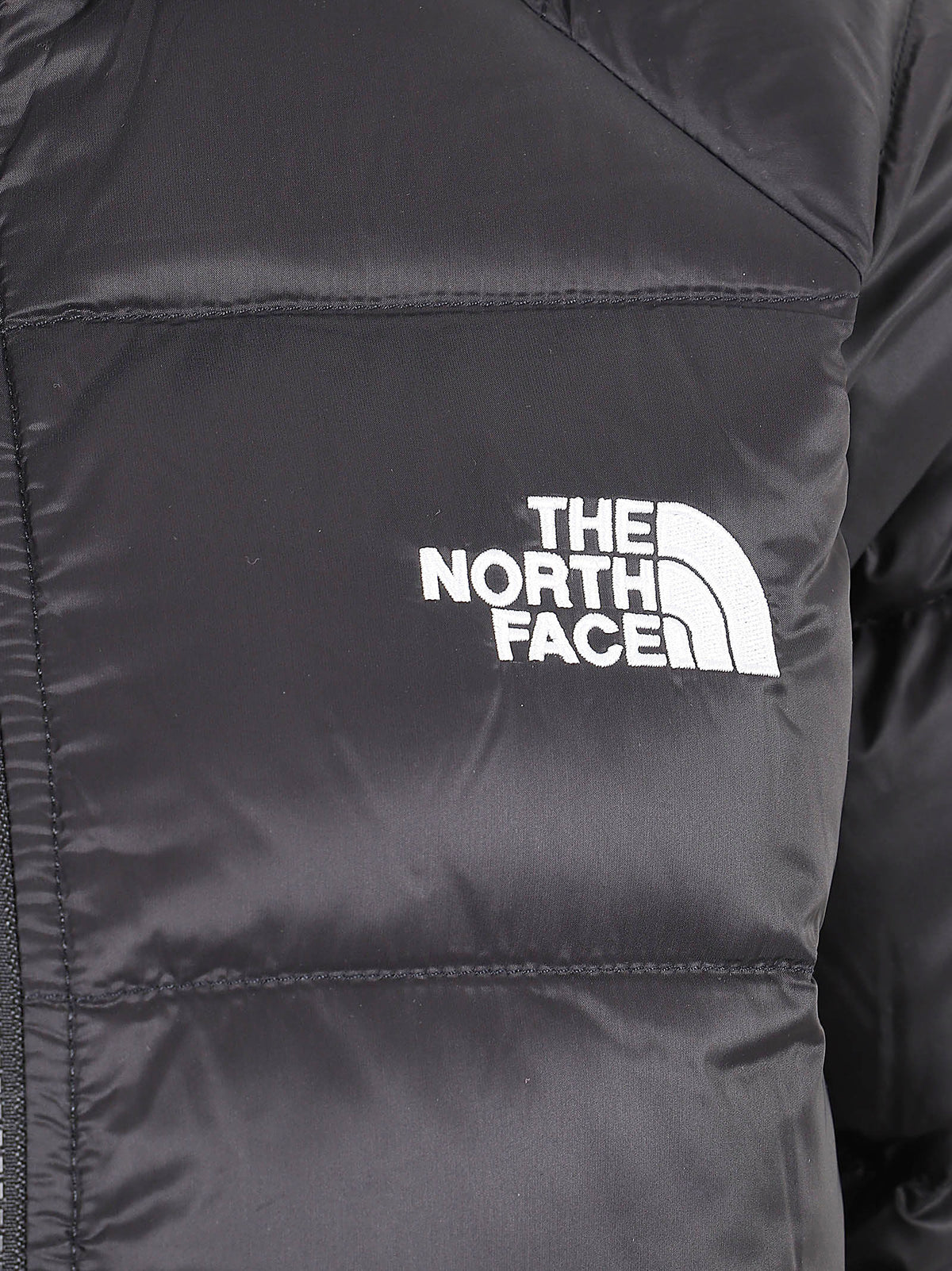 GIACCA DONNA CON CAPPUCCIO HYDRENALITE - THE NORTH FACE NF0A5GGG JK31  NORTH FACE 