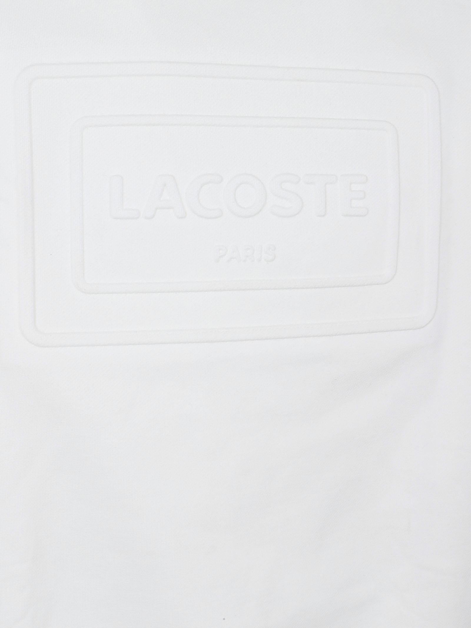 Felpa girocollo uomo SH0795 70V  LACOSTE 